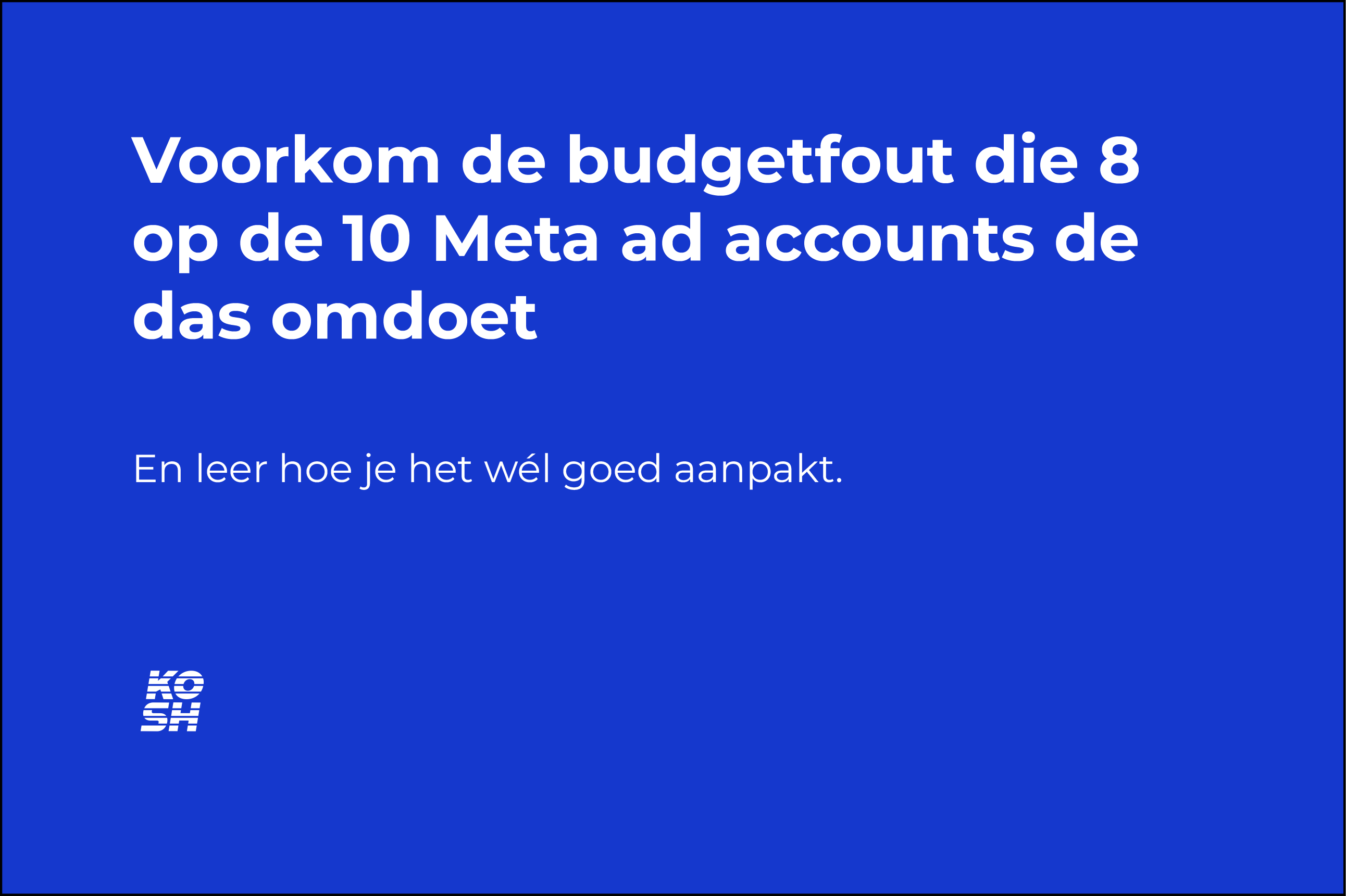 Meta Ads budget fout die je de das omdoet